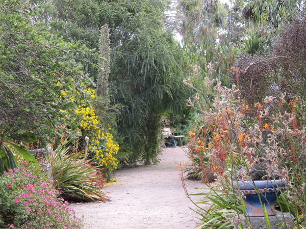 Jardin exotique de Roscoff