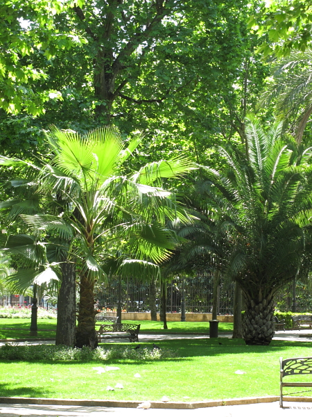 Jardins publics de Cordoue