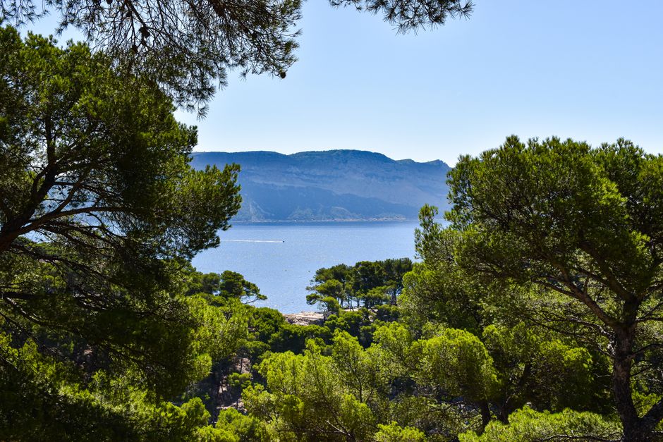 Jardin d'acclimatation de toulon : mon havre botanique et ses trésors 1 You are currently viewing Jardin d’acclimatation de toulon : mon havre botanique et ses trésors