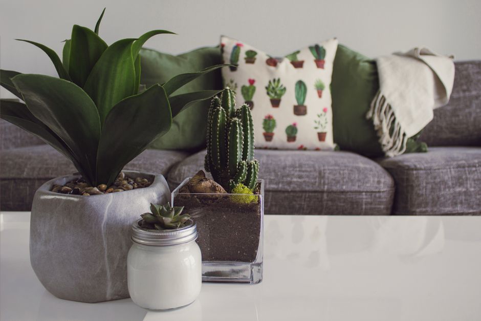 Cultivez la sérénité au cœur de votre jardin 18 Décoration Végétale