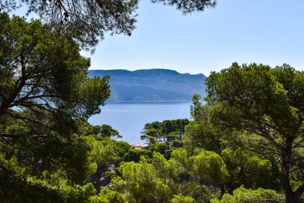 Cultivez la sérénité au cœur de votre jardin 16 Jardin d’acclimatation de toulon : mon havre botanique et ses trésors