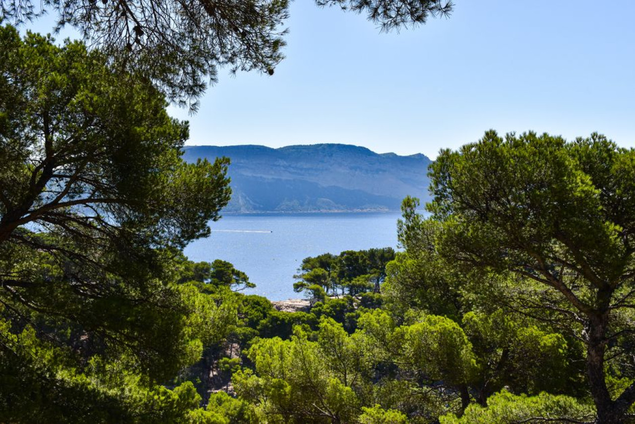 Jardin d'acclimatation de toulon : mon havre botanique et ses trésors 1 You are currently viewing Jardin d’acclimatation de toulon : mon havre botanique et ses trésors