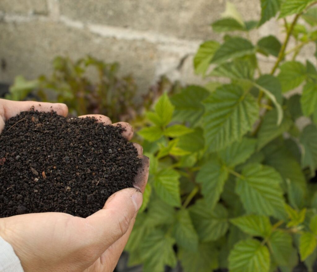Compostage jardin débutant : la checklist essentielle 2 Compostage jardin débutant : la checklist essentielle