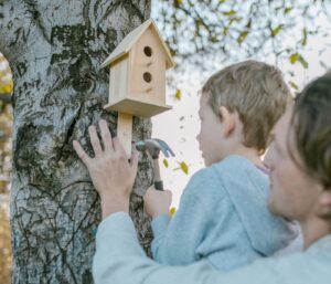 Construire un hôtel à insectes : guide pas-à-pas