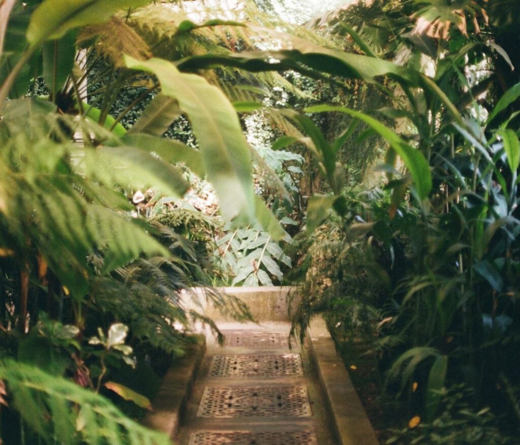 Cultivez la sérénité au cœur de votre jardin 20 Jardin botanique Bordeaux : guide pratique et retour d’expérience