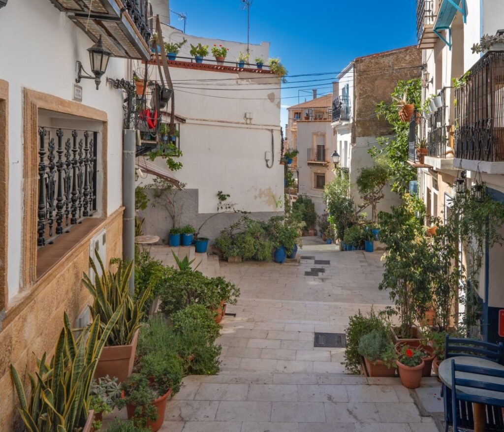 Cultivez la sérénité au cœur de votre jardin 17 Plantes aromatiques balcon ensoleillé : 7 secrets pro