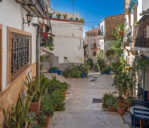 Plantes aromatiques balcon ensoleillé : 7 secrets pro