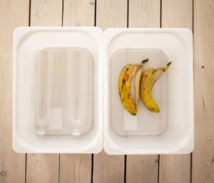 Composteur bois ou plastique : comment choisir ?