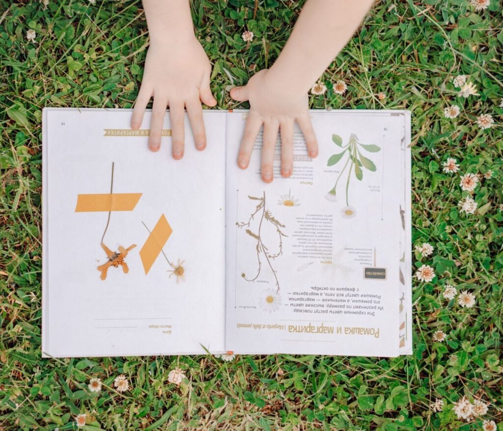 Cultivez la sérénité au cœur de votre jardin 3 Plantes sauvages comestibles : identification sans risque