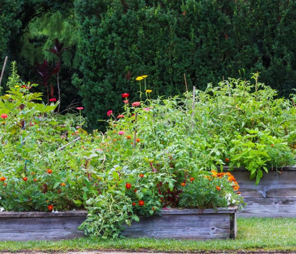 Cultivez la sérénité au cœur de votre jardin 1 Potager surélevé : guide débutant 8 étapes