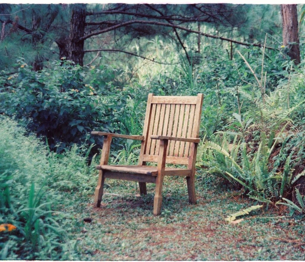 Cultivez la sérénité au cœur de votre jardin 1 Créer un coin lecture extérieur dans son jardin