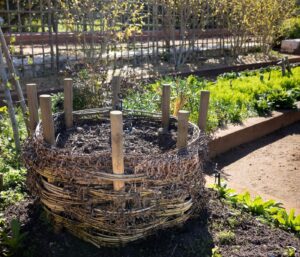 Engrais naturels le potager : le guide complet