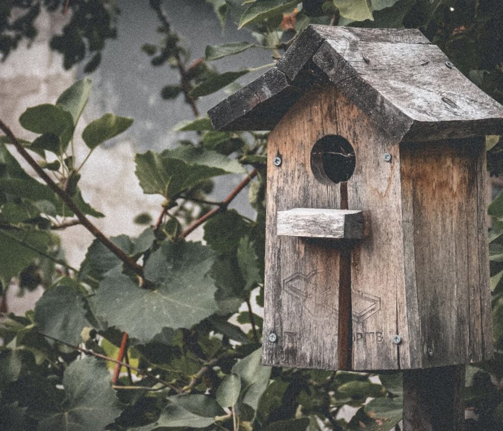 Cultivez la sérénité au cœur de votre jardin 1 Nichoir à oiseaux : comment le choisir et l’installer