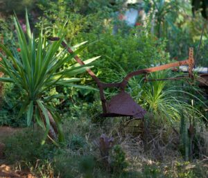 Outils jardinage manuels : le comparatif bien choisir